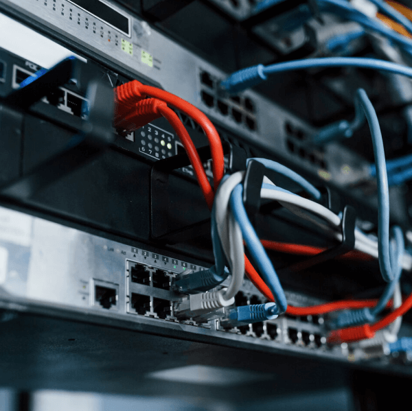 A rack of ethernet cables in a server room.